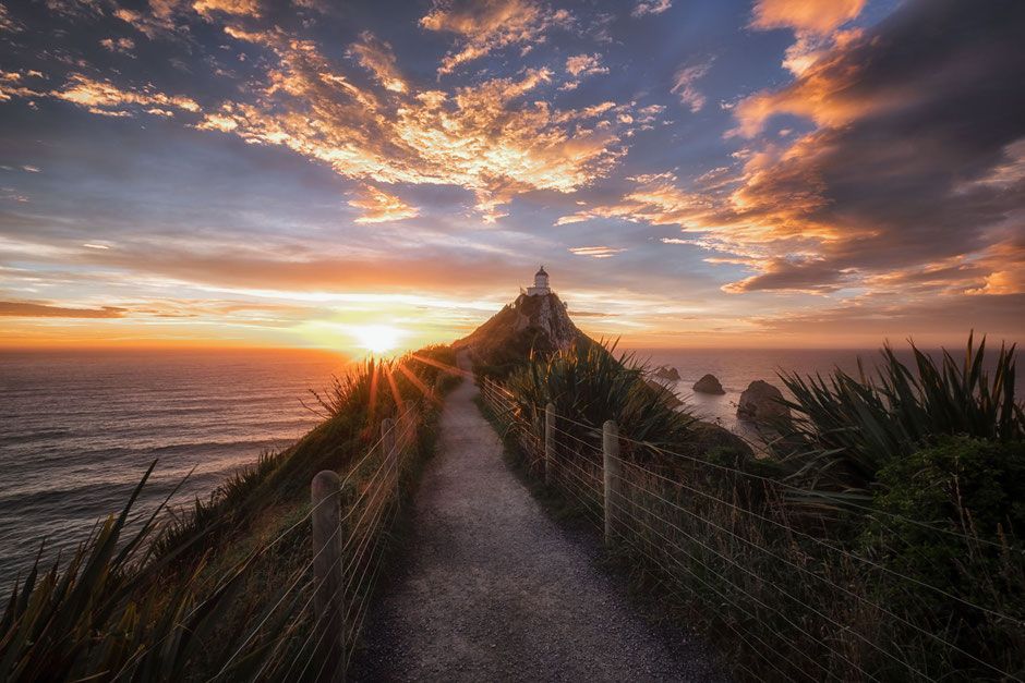 Soft sunrise glow across a calm coastal walking path in New Zealand for Liveavitaol rhythm prompts